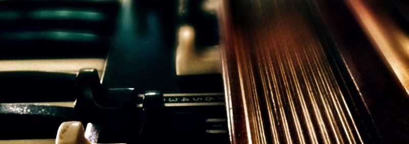 header image 1